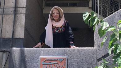 پیام رئیس موزه هنرهای معاصر تهران برای درگذشت ایران درودی