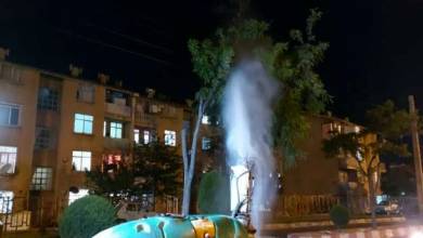 سمپاشی بهاره روی درختان سنندج انجام شد
