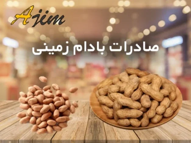 سلامت و دانش