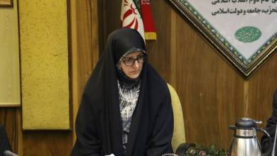 معاون وزیر ورزش: فعالیت زنان در MMA غیرقانونی است