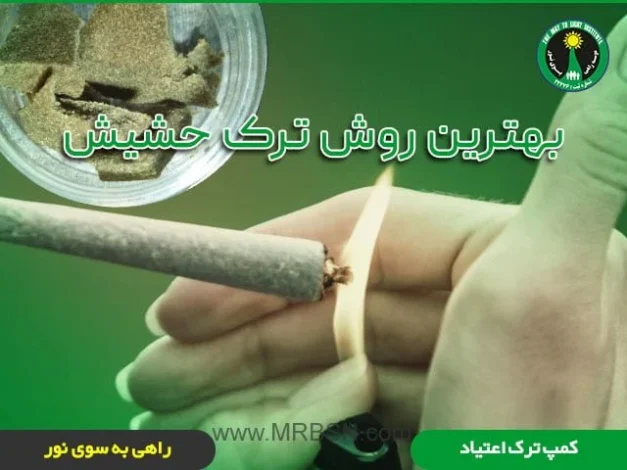 جامعه جامعه