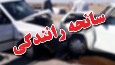 اتباع خارجی