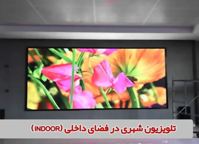 جامعه