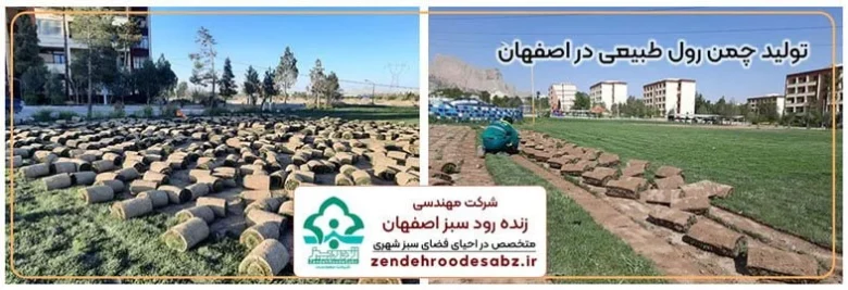فوتبال