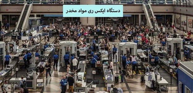 سلامت و دانش