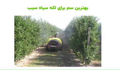 سلامت و دانش سلامت و دانش