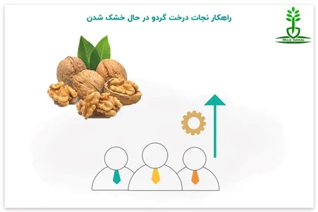 سلامت و دانش سلامت و دانش