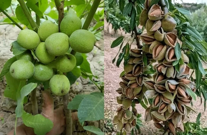 خبرهای کلی