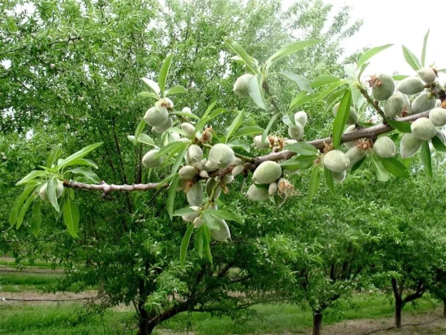 خبرهای کلی