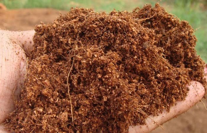 پرلیت |جایگزین خاک کوکوپیت