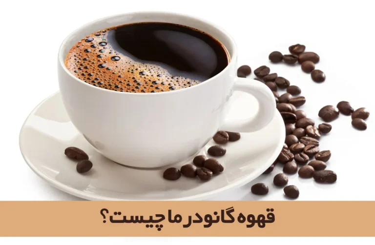 خواص قهوه گانودرما کدامند؟