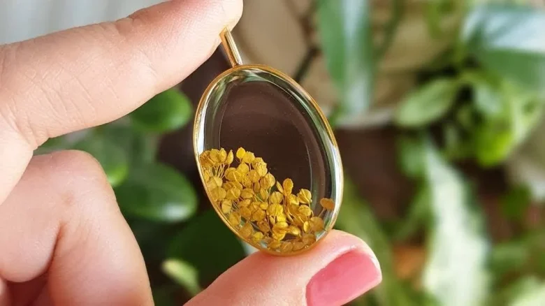 خبرهای کلی