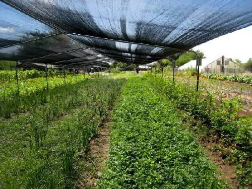 اصفهان
