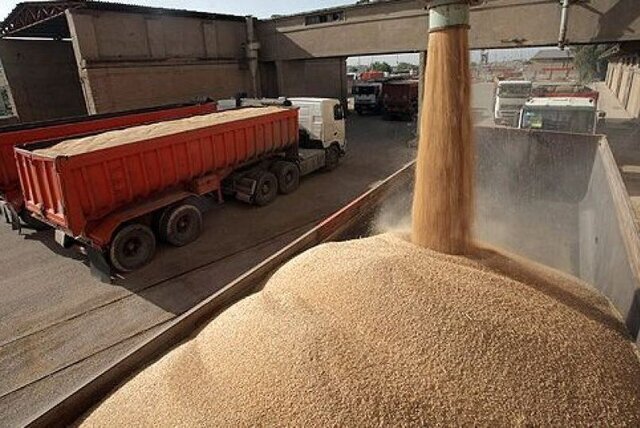 خرید بیش‌ از یک‌میلیون و ۴۰۰ هزار تن گندم در خوزستان