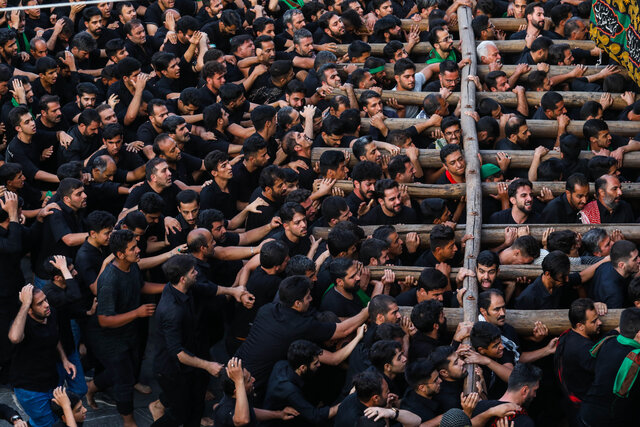 آیین «نخل‌برداری» عصر عاشورا در شهرستان تفت