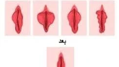 سلامت و دانش سلامت و دانش