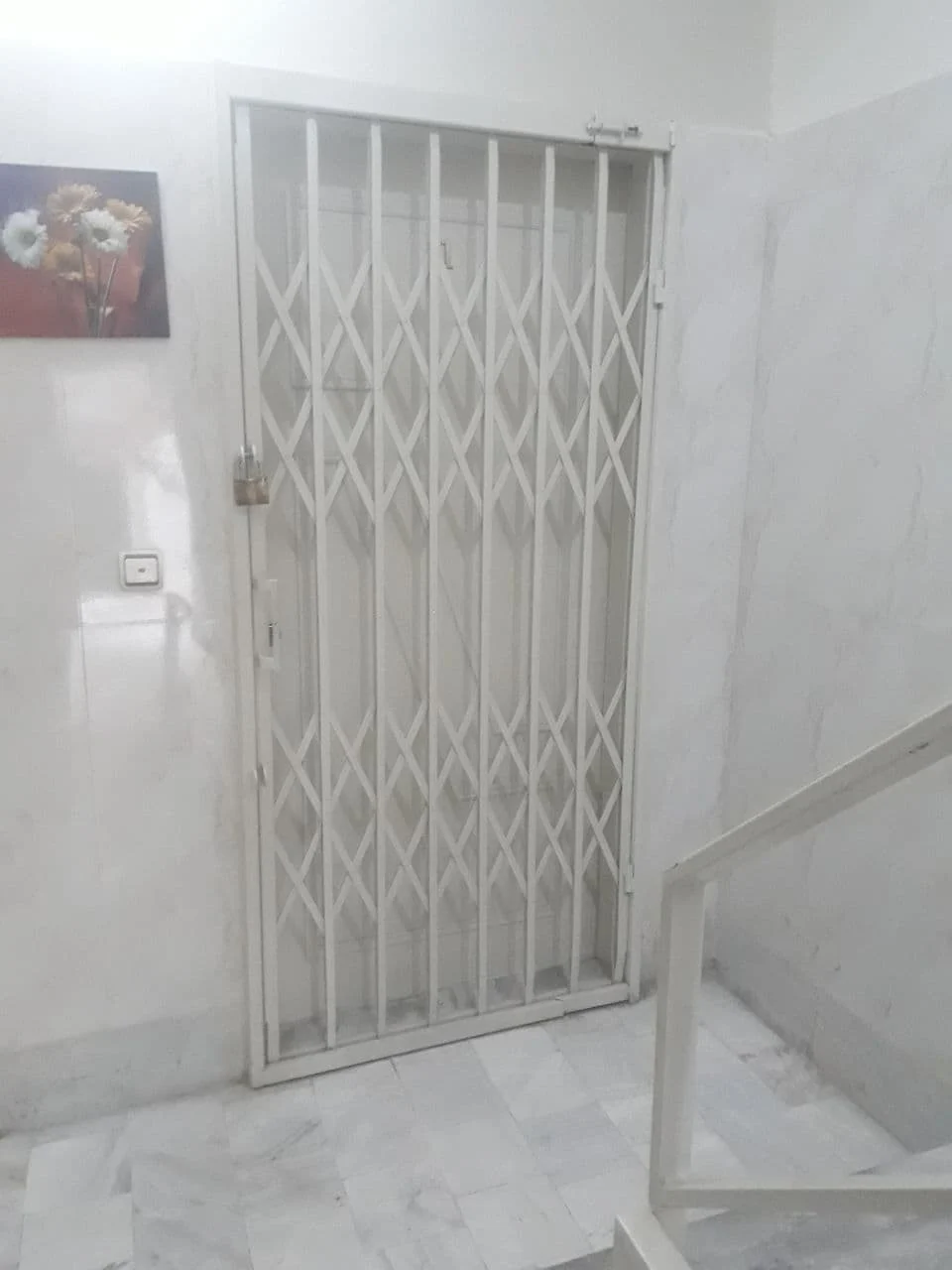 آکاردئونی