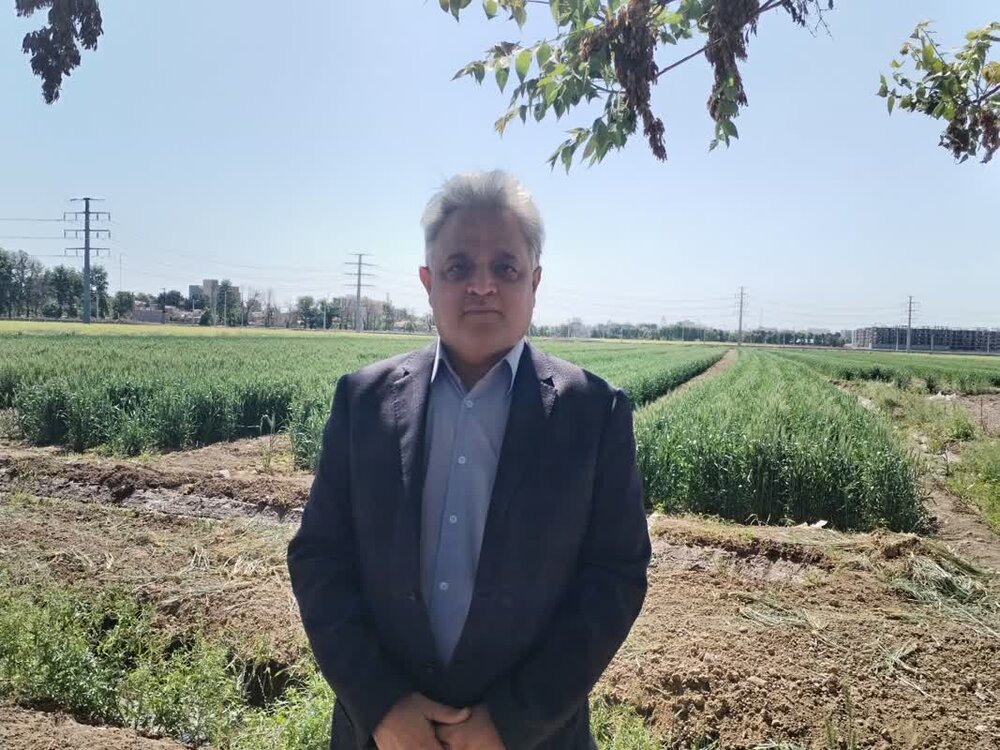 کشاورزی سنتی دیگر پاسخگو نیست / یافته‌های علمی باید به مزارع برسد