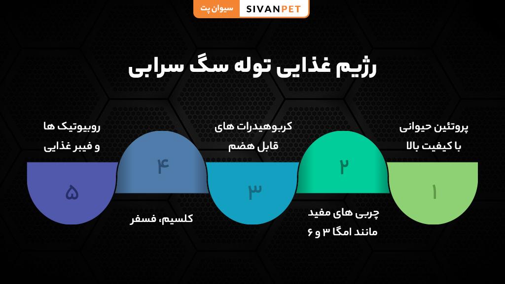 بهترین غذا برای توله سگ سرابی