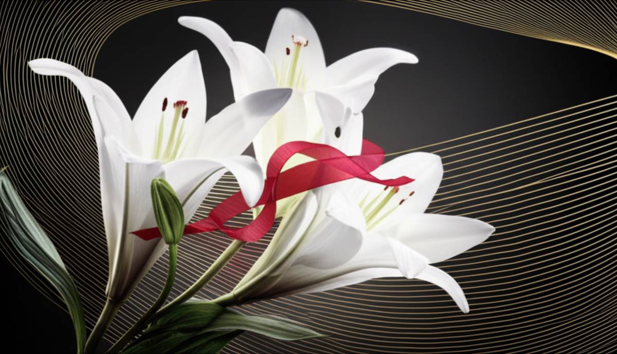 درمان |زگیل