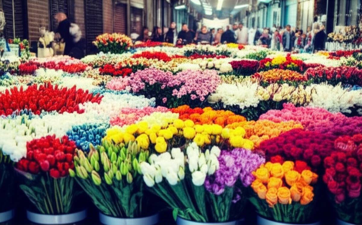 تهران |کیف