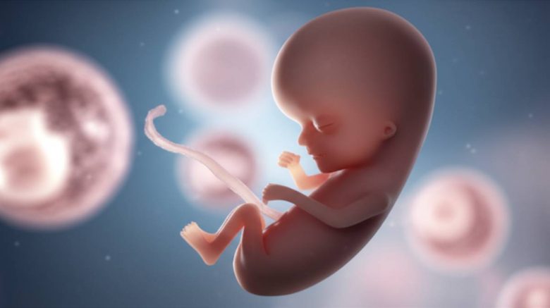 خبرهای کلی خبرهای کلی