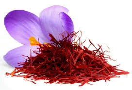 خبرهای کلی