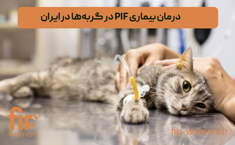بیماری |درمان