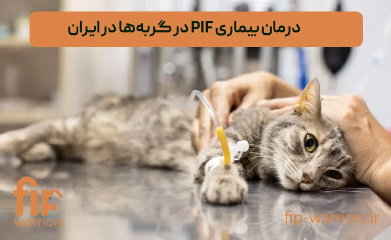 بیماری |درمان